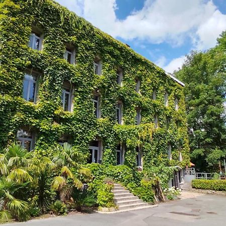 Logis Hotel-Restaurant - Le Moulin D'Artres المظهر الخارجي الصورة