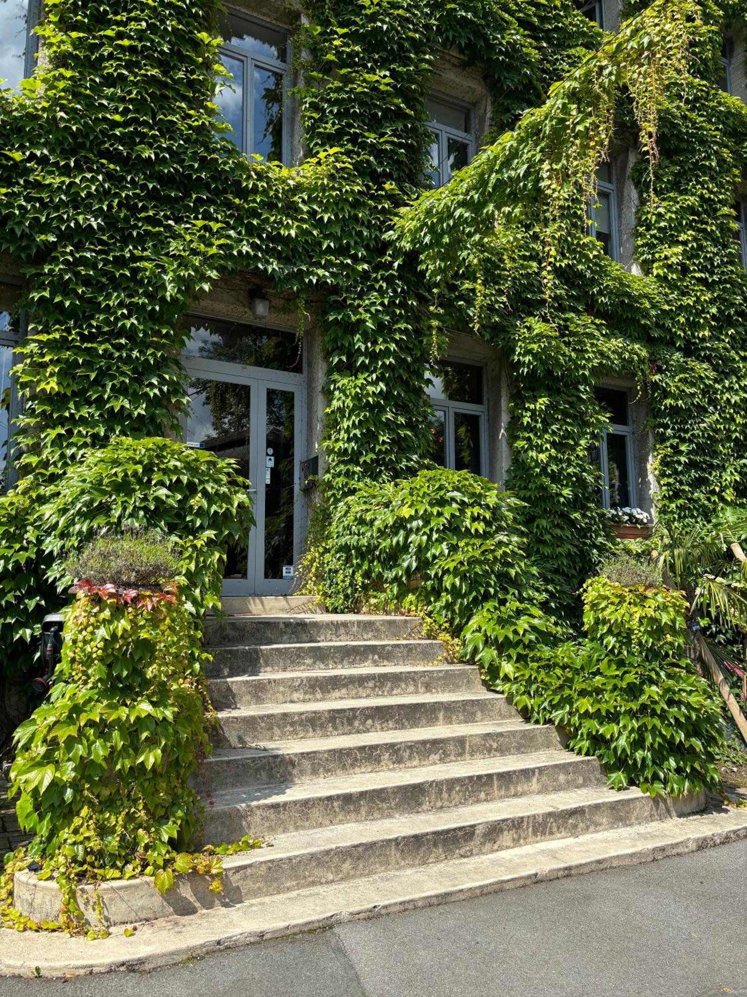 Logis Hotel-Restaurant - Le Moulin D'Artres المظهر الخارجي الصورة